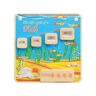 Wall Elements - Light-Up Fish Life Cycle Stages Panel