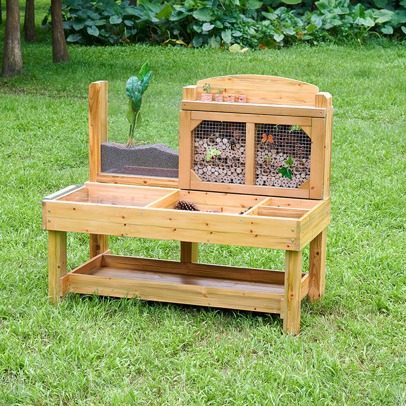 Insect and Plant Observation Stand