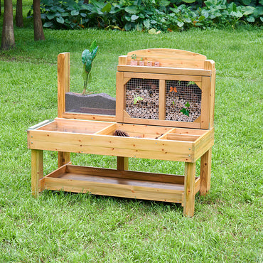 Insect and Plant Observation Stand