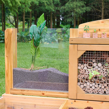 Insect and Plant Observation Stand