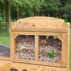 Insect and Plant Observation Stand