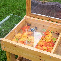 Insect and Plant Observation Stand