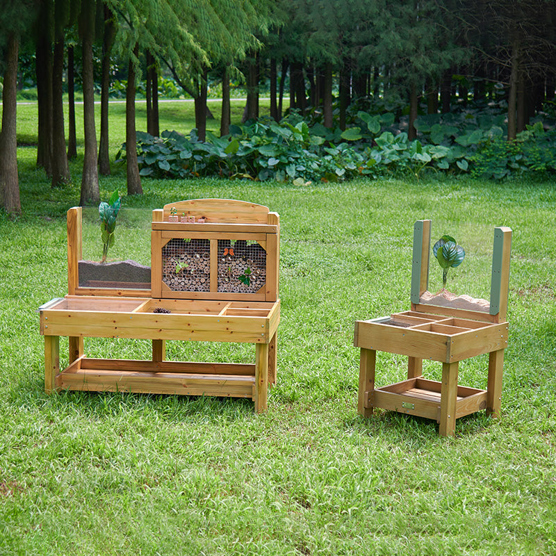 Insect and Plant Observation Stand