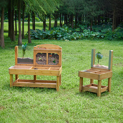 Insect and Plant Observation Stand