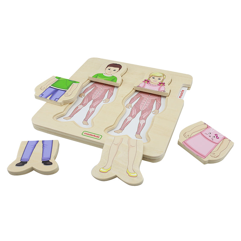 Human Body Layered Puzzles