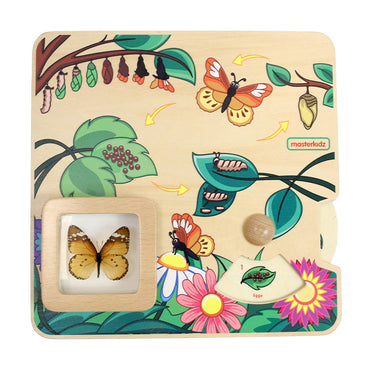 Butterfly Life Cycle Handy Learning  Board