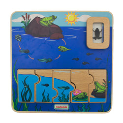 Frog Life Cycle Handy Learning  Board