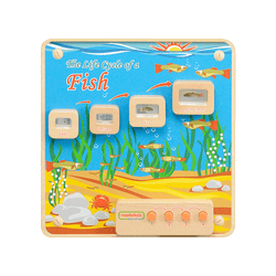 Wall Elements - Light-Up Fish Life Cycle Stages Panel