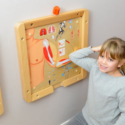 Muscular and Skeletal Systems Learning Board Play Teaching Aids | Masterkidz