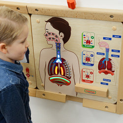 Wall Elements-Respiratory System Learning Board Play Teaching Aid
