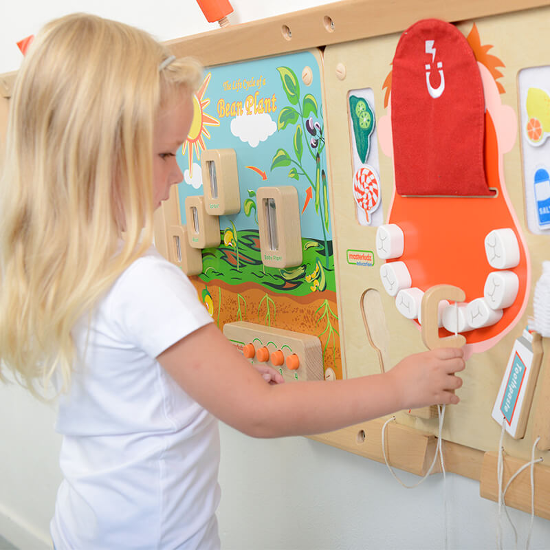 Wall Elements - Oral Care Learning Board
